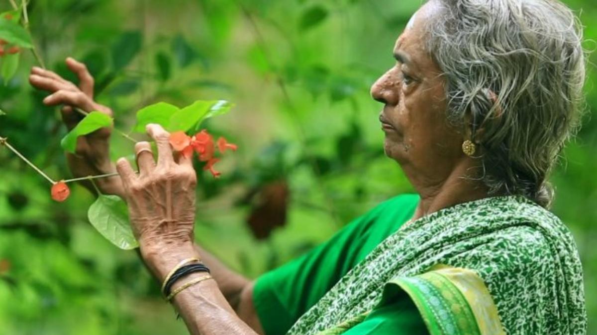 Padma Awards 2026: Meet Devaki Amma, the 92-year-old who turned barren land into a forest