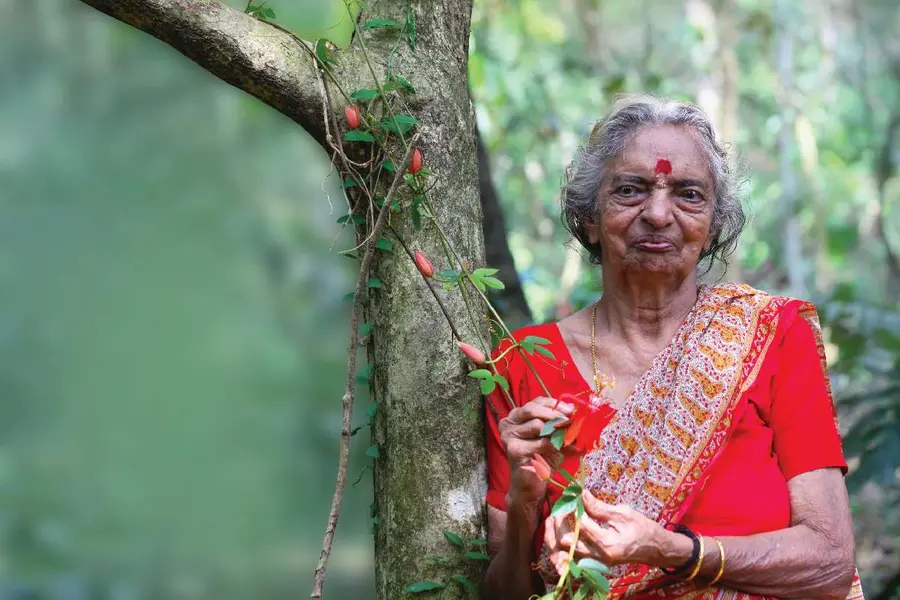 devaki amma kollakal