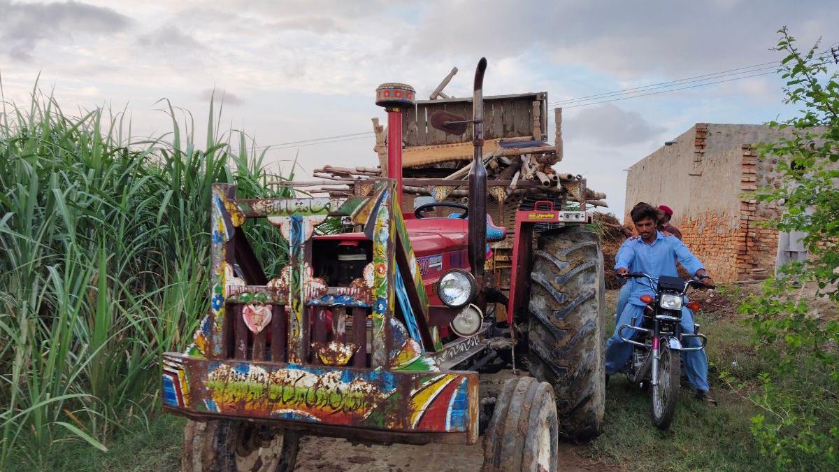 Building roads is not enough: Why Union Budget must invest in rural mobility