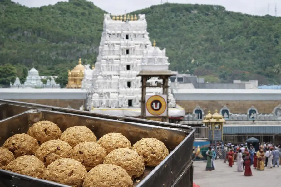 CBI clears Tirupati laddu of animal fat, YSRCP demands apology from CM Naidu and Pawan Kalyan