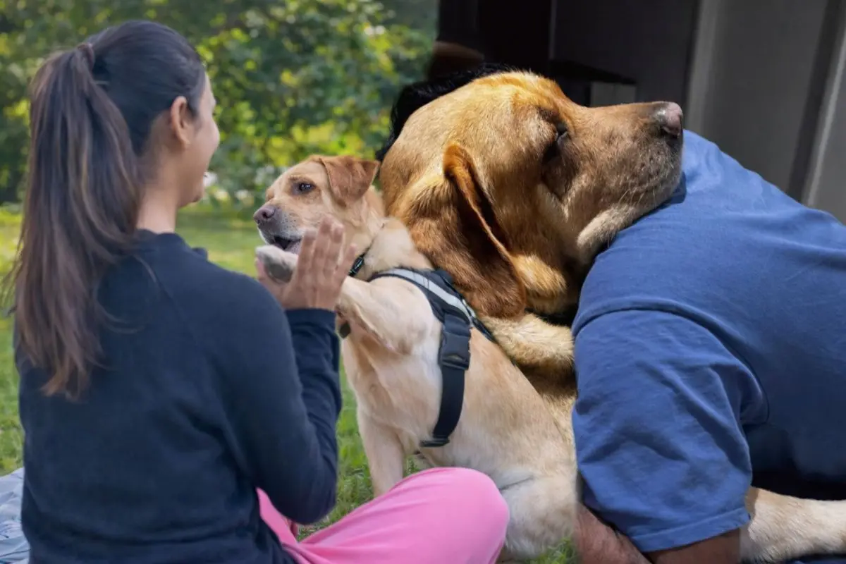 Sky shares a quiet, intimate moment with his humans after a six-month separation, a reunion that followed a long journey from India to Australia driven by love, patience and unwavering commitment.