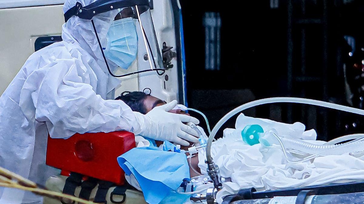 WHO declares Nipah virus outbreak in India ‘low risk’; No travel or trade curbs recommended