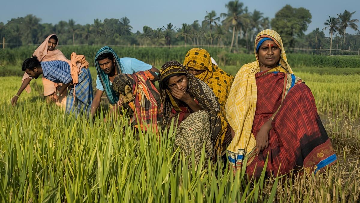Union Budget 2026: Rajasthan farmers seek expanded MSP...