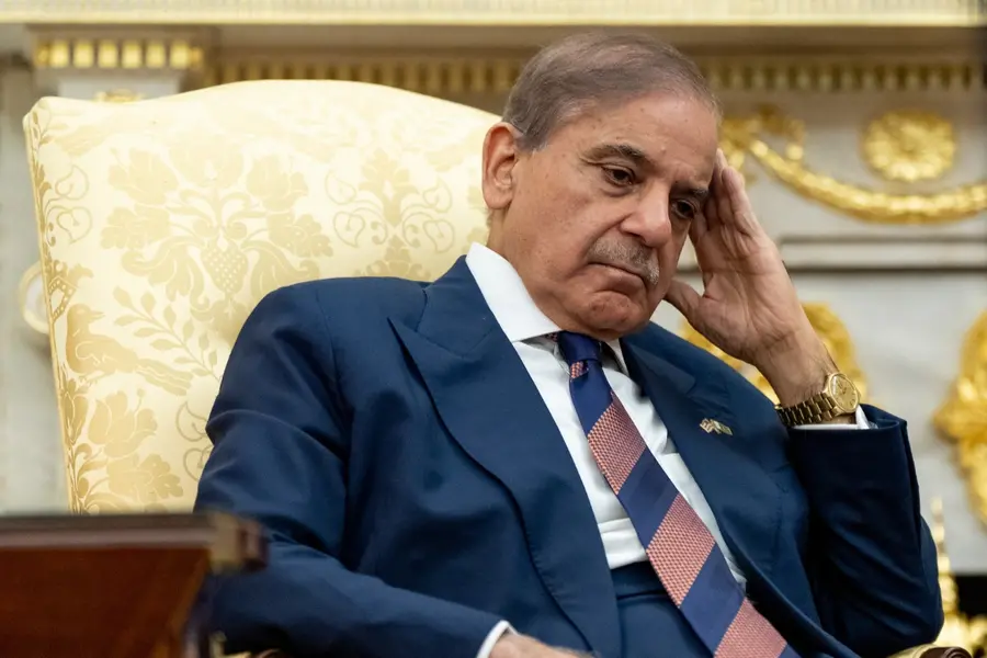 Our heads bow in shame': PM Shehbaz Sharif slams Pakistan's 'begging bowl'  economy | Mathrubhumi English