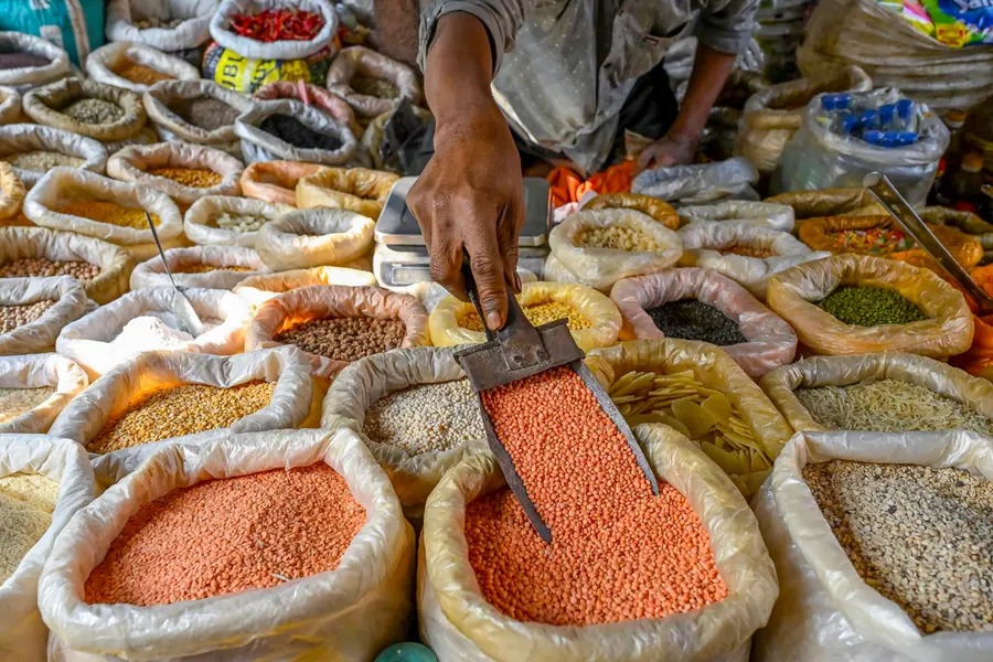Union Budget 2026 expectations: Jobs, tax relief, agriculture, MSMEs, green economy, and more