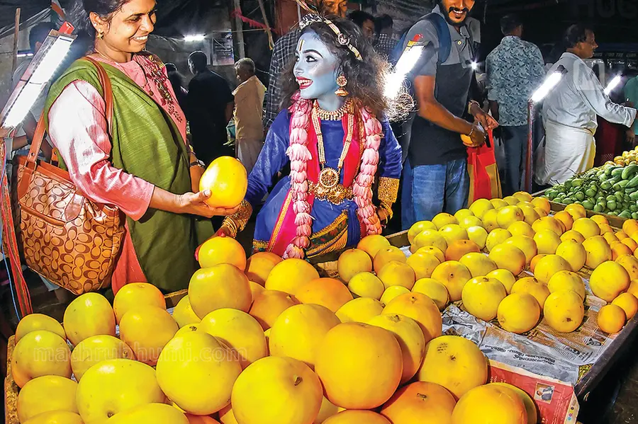 വിഷുക്കണി സമൃദ്ധമാക്കാം: കണിവെള്ളരിയും കണിമത്തനും നടാൻ ഉത്തമം, ഫെബ്രുവരി മാസത്തെ കൃഷിപ്പണികൾ