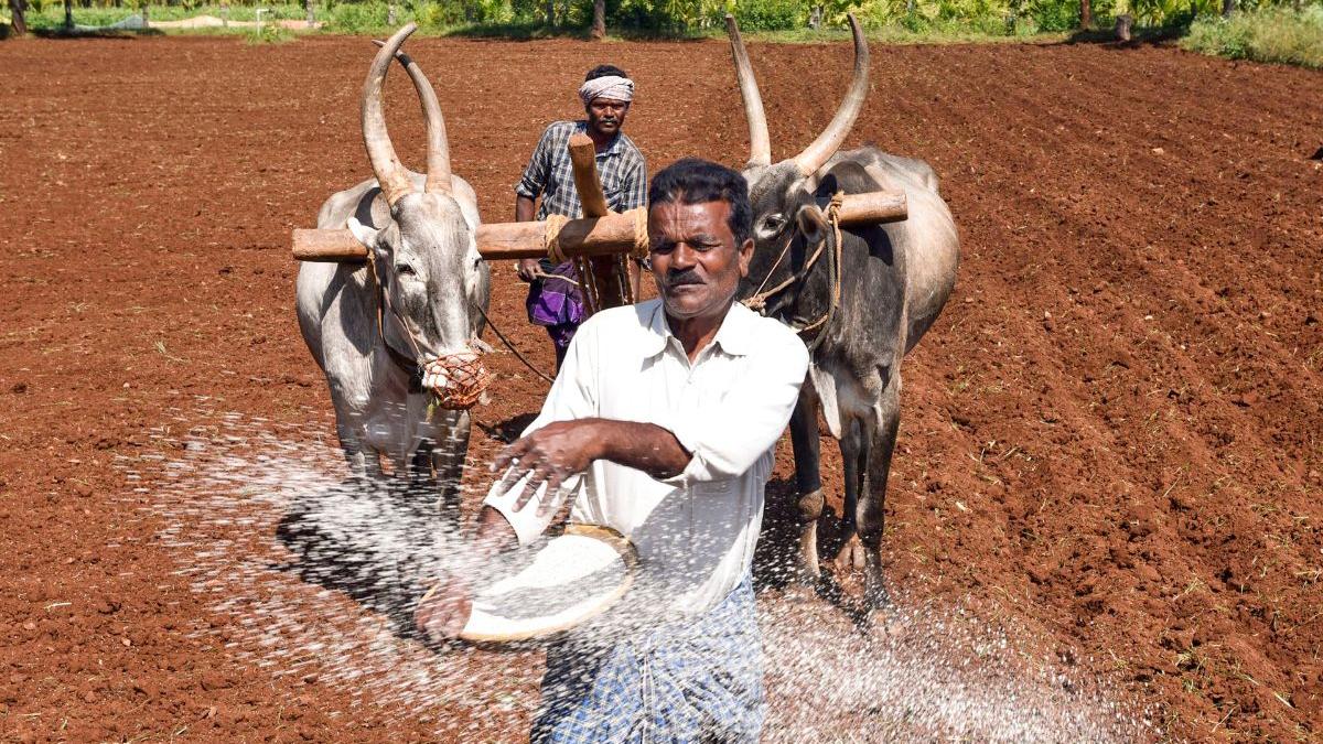 Union Budget 2026-27: What Union Budget says on farming, fisheries and rural tax relief