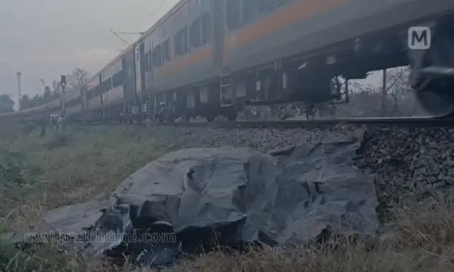 The spot were the elephant was hit by the train | Mathrubhumi