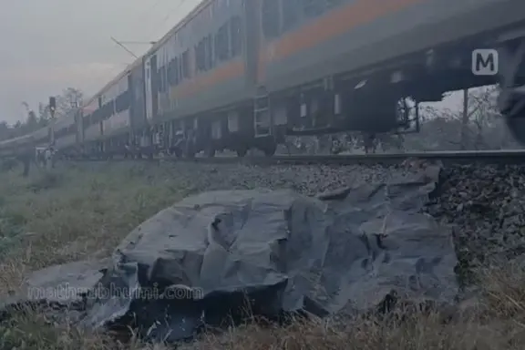 Elephant killed in train accident near Walayar in Palakkad