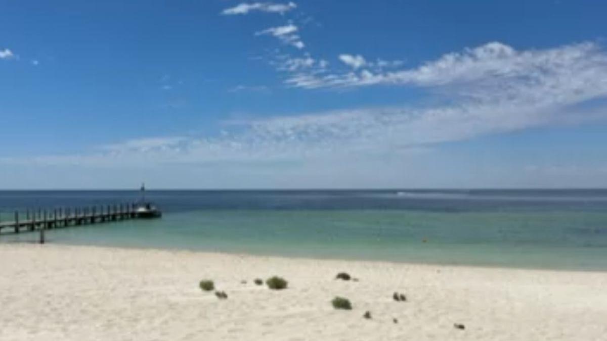 13-year-old Australian boy swims for four hours to save...