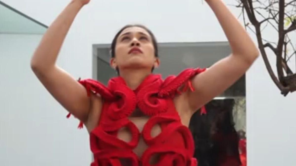 Torres Strait Islander art from Australia debuts at India...