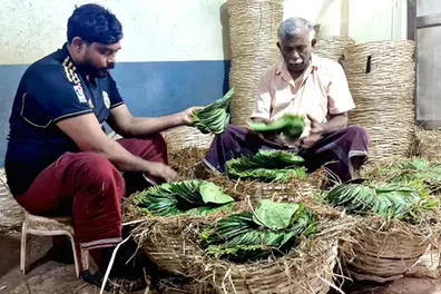 LHB upgrade of West Coast Express coaches hits Tirur betel leaf farmers as parcel van exits