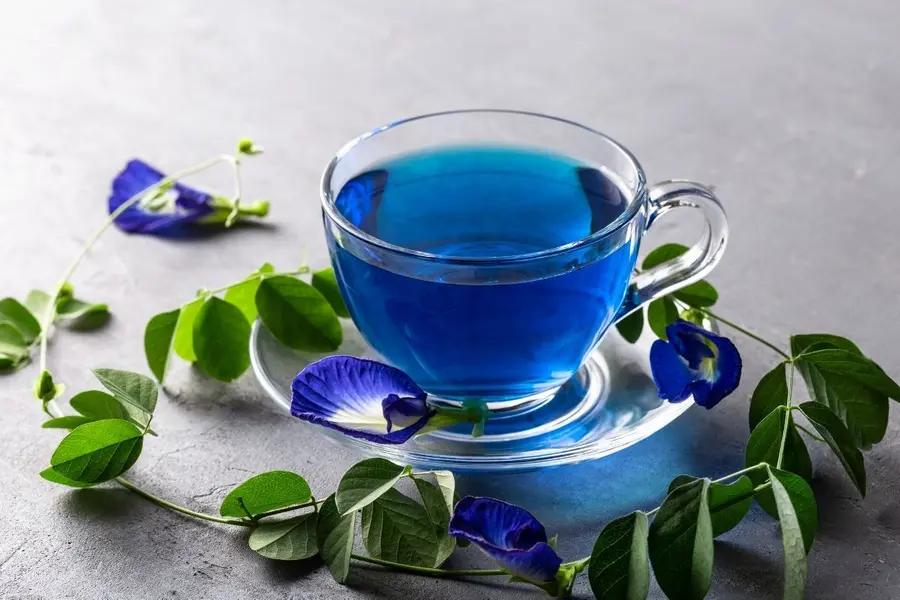 Butterfly-Pea-tea