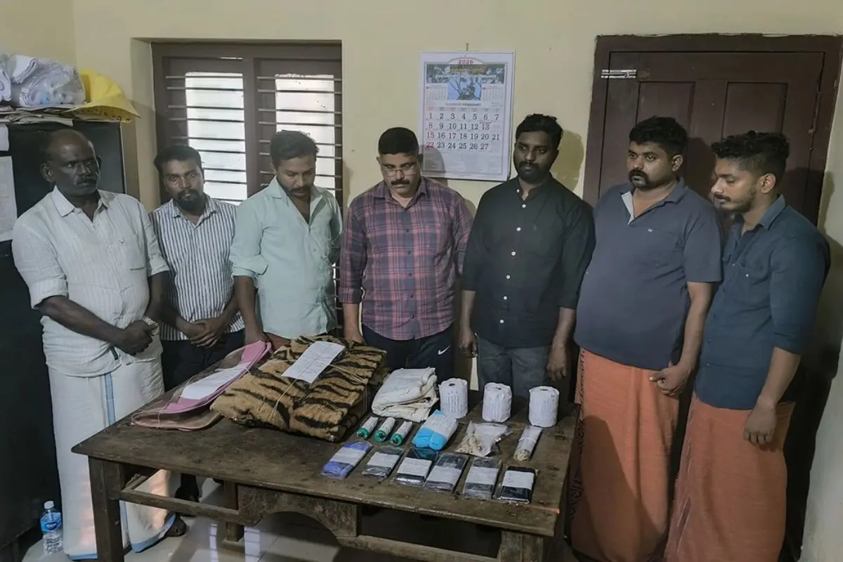 Seven-member gang arrested for attempting to sell tiger skin, claws, and teeth in Kannur (Photo/DFO Kannur)
