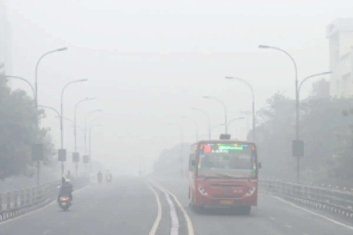 Fog in Tamil Nadu