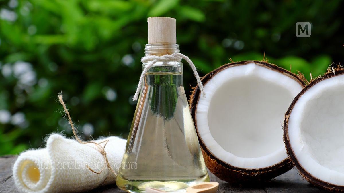 Rising global demand fuels optimism for India’s coconut sector; palm kernel oil eats into market