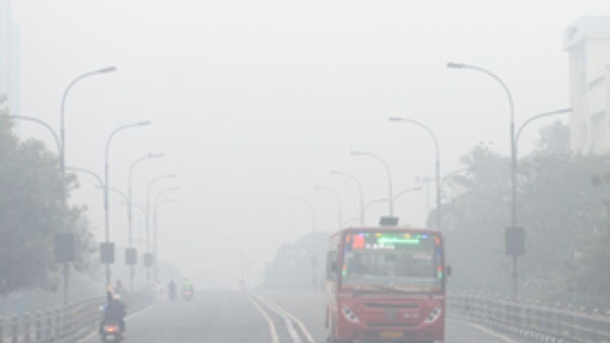 Travel warning: Dense morning fog forecast for Chennai and northern TN districts till February 14