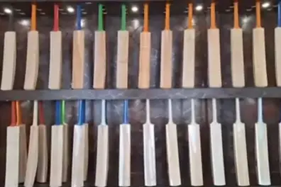 Why are Kashmir willow bats in such high demand this T20 World Cup?