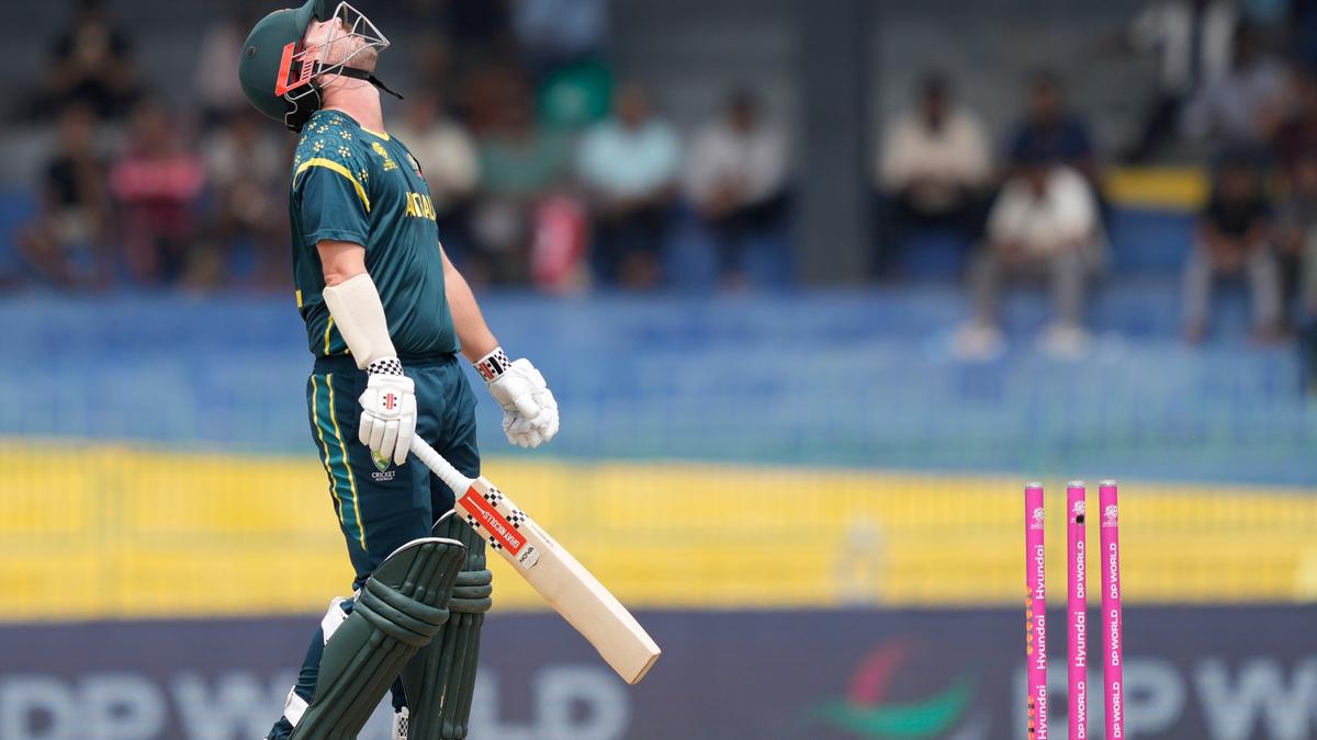 Australia suffers joint-worst T20 World Cup powerplay collapse against Zimbabwe