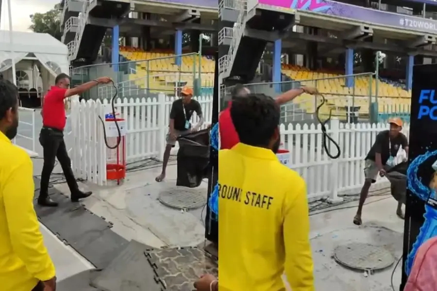 Swirling drama: Snake spotted in Pakistan dugout as team arrives for training