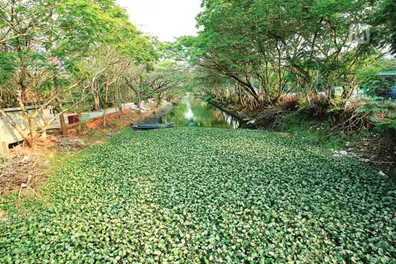 Kozhikode to get Canal City by Onam 2026? 2.9 km phase approved to boost tourism & cargo