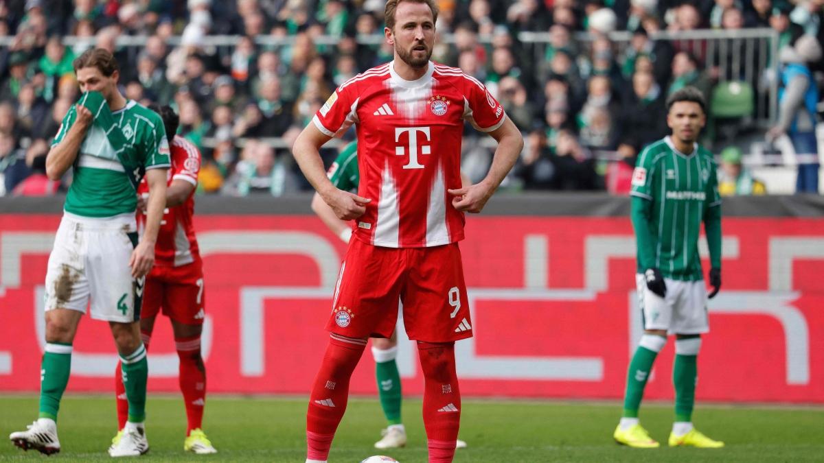 'It is a lot of hard work and sacrifice,' says Harry Kane after 500th career goal