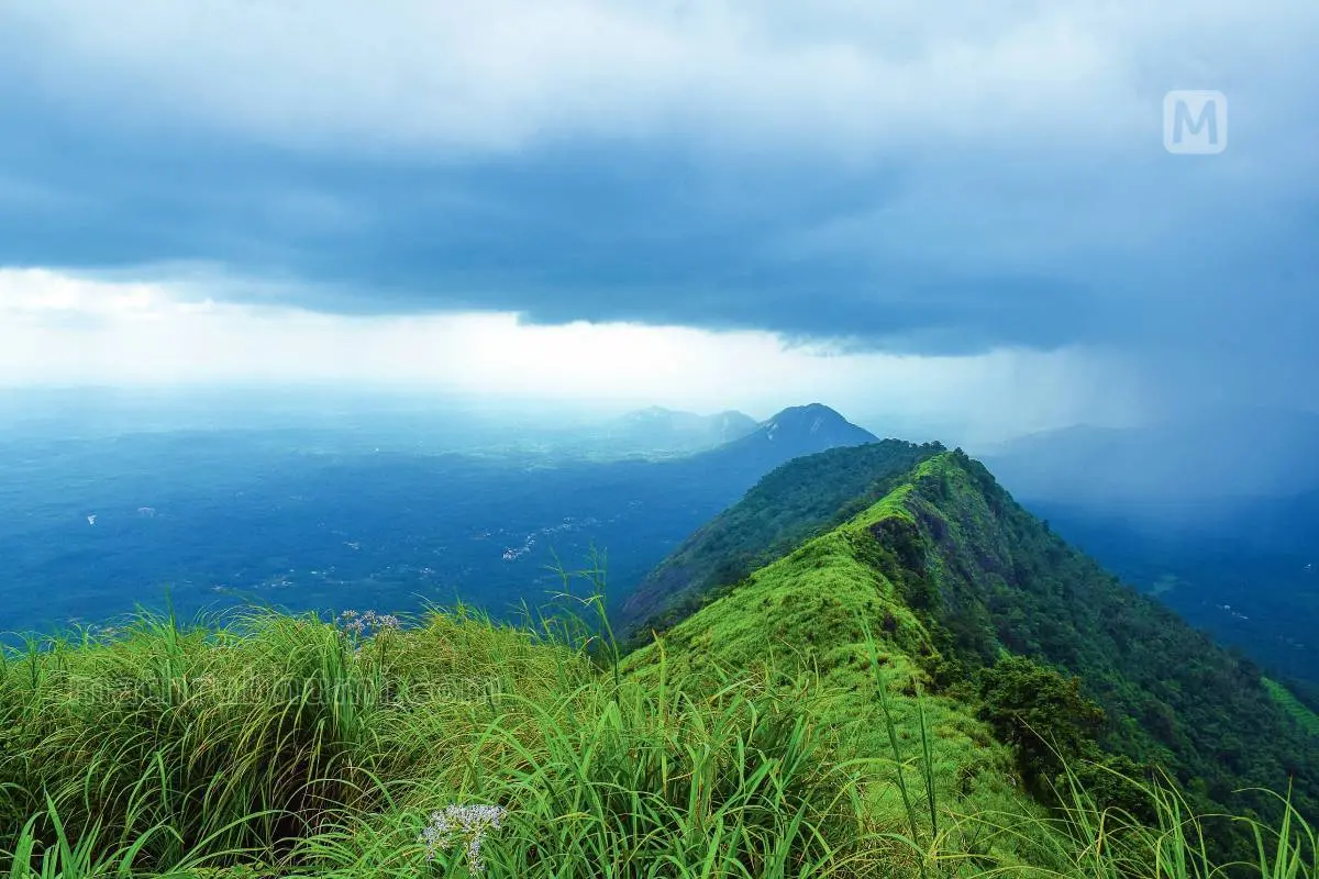 Representational image | Photo: Mathrubhumi archives