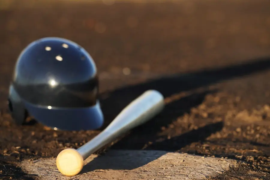 baseball bat
