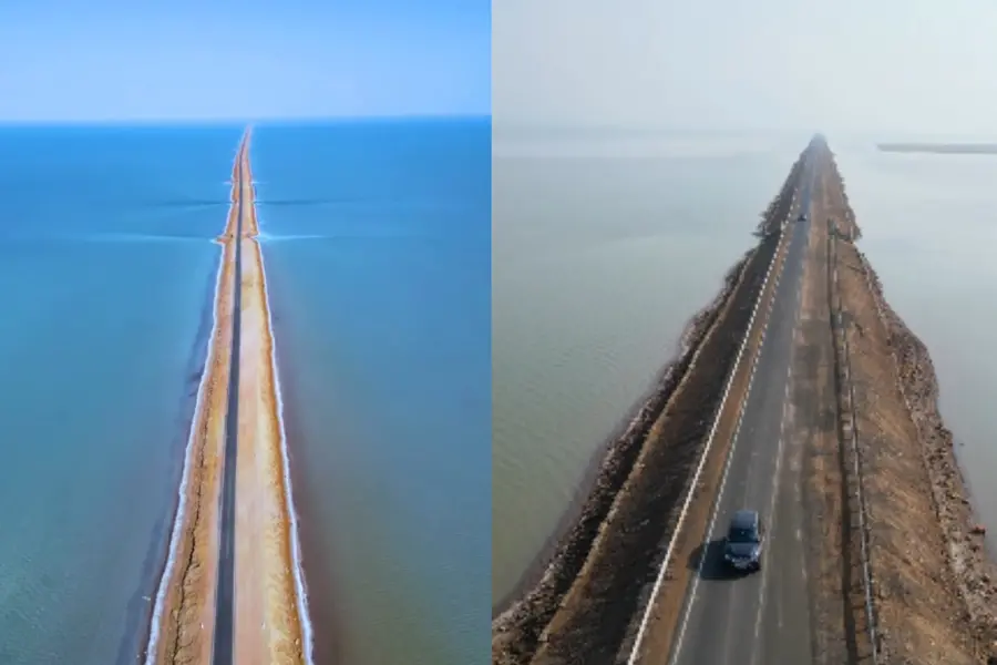 പാകിസ്താനിൽനിന്ന് 50 KM അകലെ, ‘സ്വർഗത്തിലേക്കുള്ള പാത’; ശരിക്കും അത്ഭുതമാണ് ഗുജറാത്തിലെ ഈ റോഡ്|VIDEO