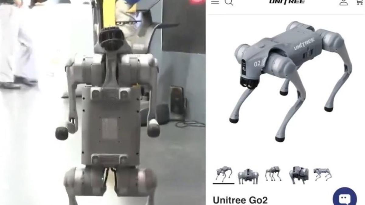 Chinese robot dog at AI Summit sparks row; University asked to vacate, Rahul Gandhi attacks Govt