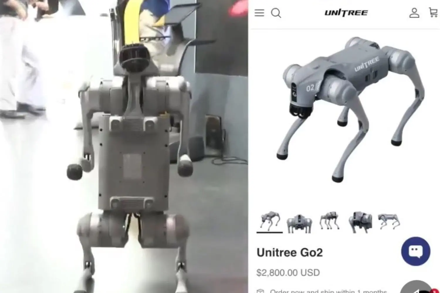 Galgotias University`s AI Expo stall removed amid allegations that it showcased a Chinese-made robot dog
