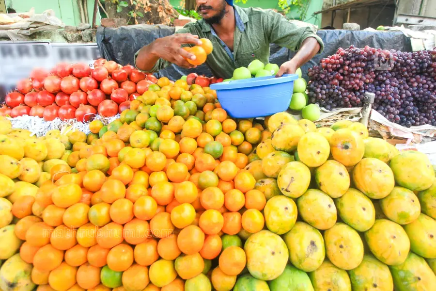 fruits