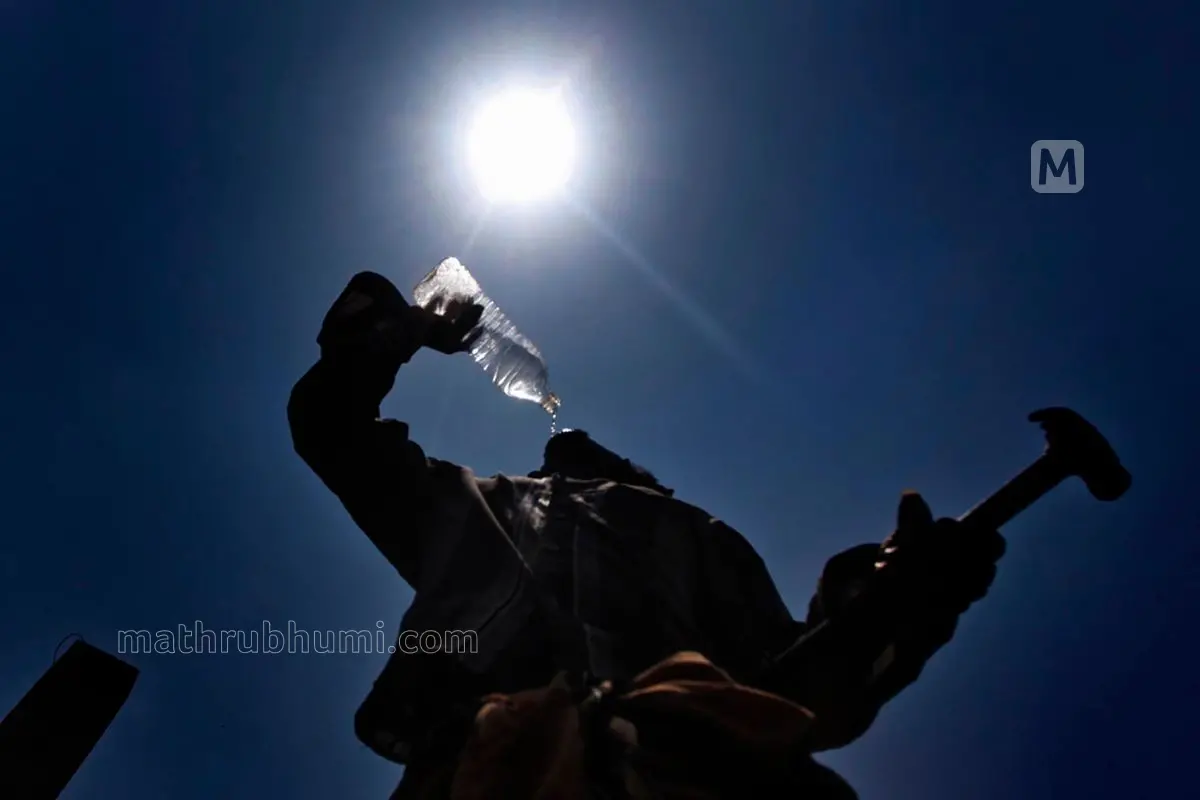 Representational image (Photo: Mathrubhumi)