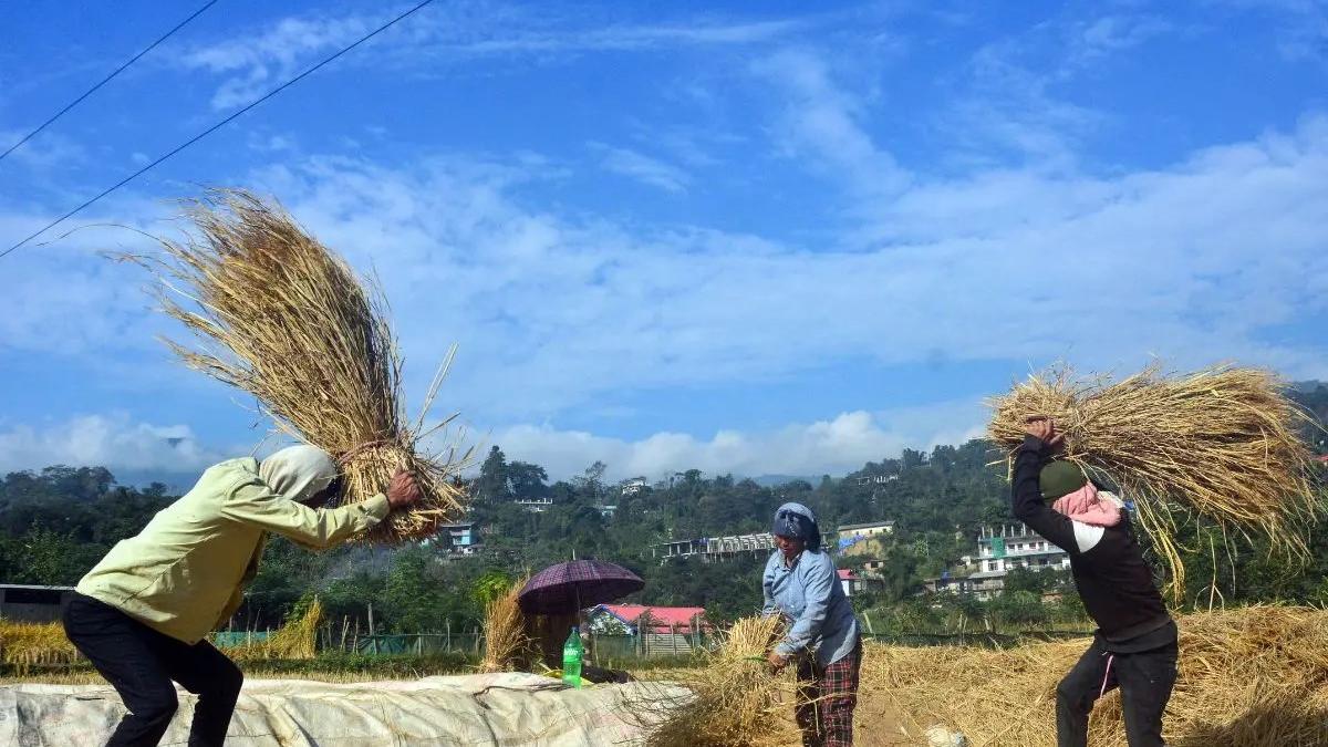 ‘Farming no longer feasible’: Erode farmers flag crisis...