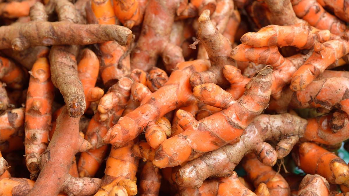 Tamil Nadu Assembly Election 2026: Erode turmeric farmers...