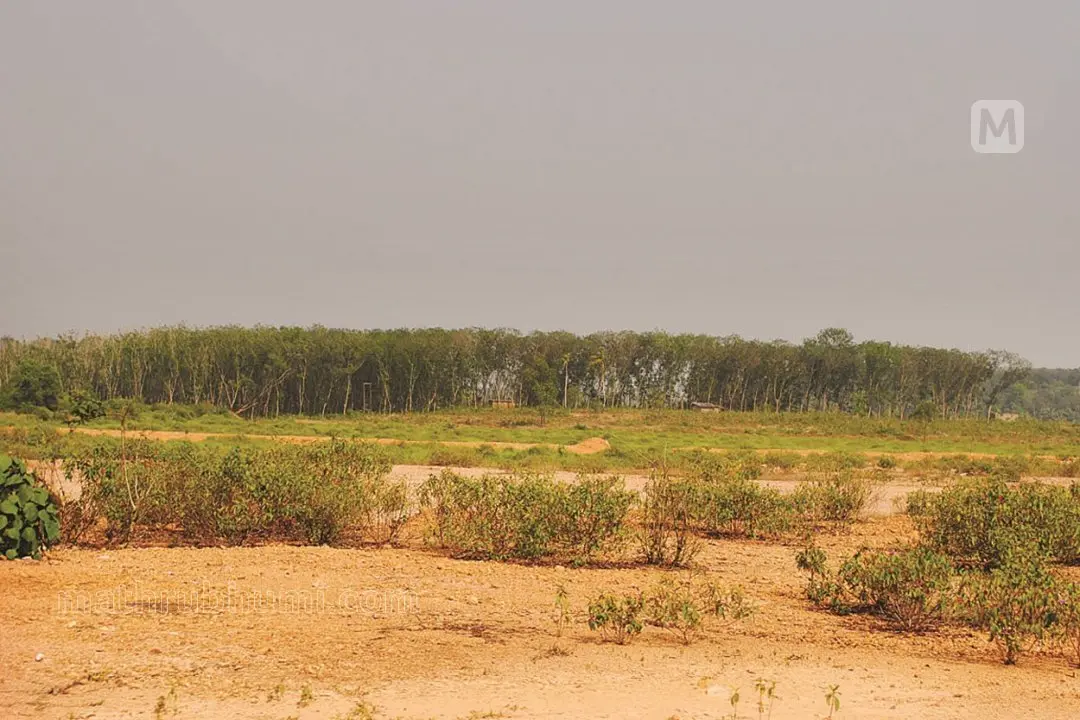 The land identified for the proposed IT Project in Aranmula | File photo