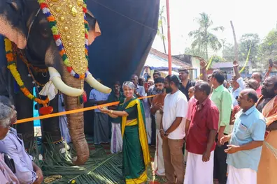Alappuzha temples replace live elephants with robotic elephants