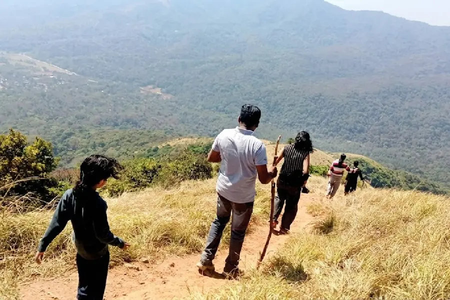 വരൂ, കയറാം ബ്രഹ്മഗിരി മല; വനത്തിന്റെ ശാന്തതയിൽ അഞ്ചരക്കിലോമീറ്റർ സാഹസിക ട്രക്കിങ്
