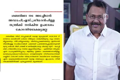 BJP’s Sreedharan Pillai claims he advised Sabarimala tantri to close shrine to block women’s entry