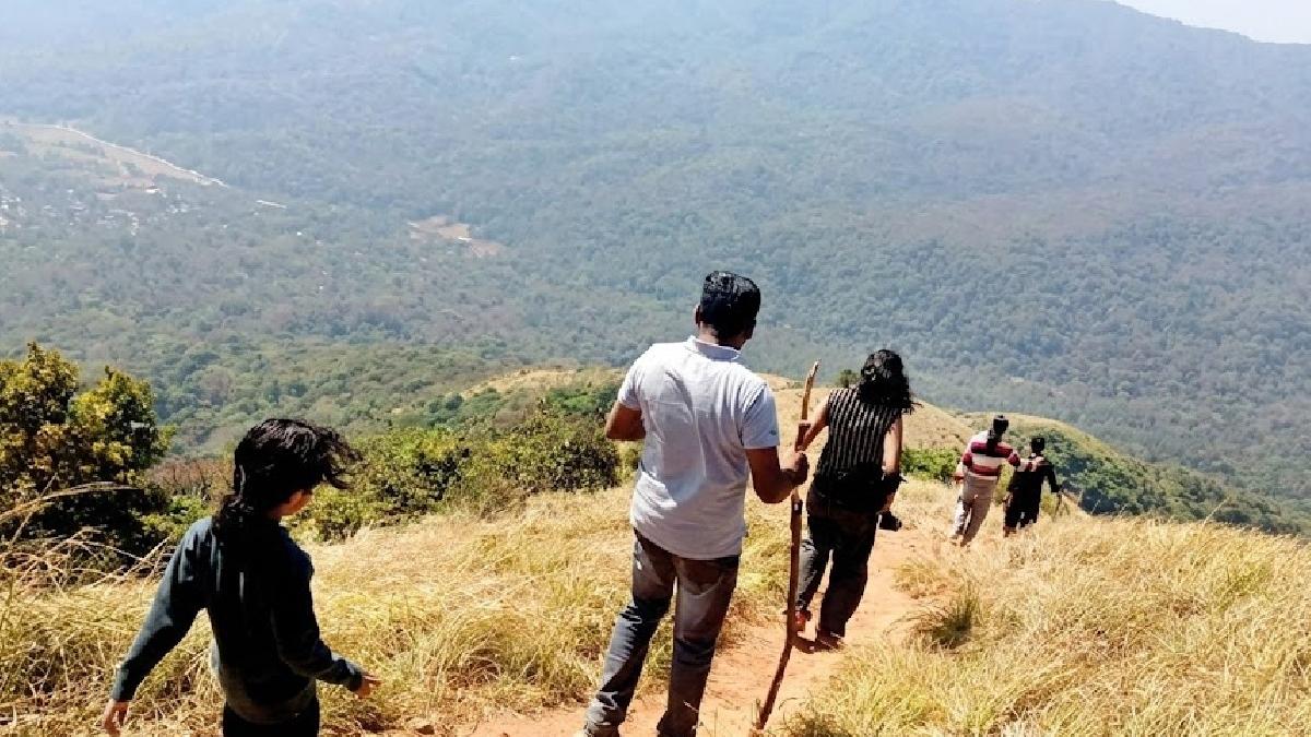 Adventure seekers flock to Wayanad's Brahmagiri hills for trekking; camping packages draw crowds