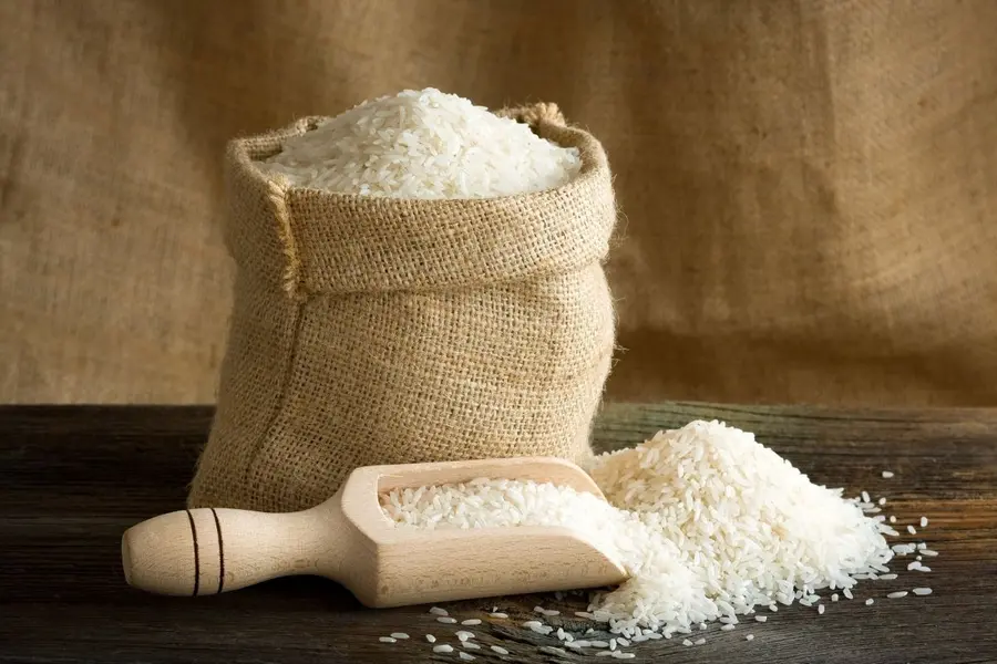 Rice