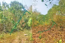 പന്തുപോലെ പോസ്റ്റുകൾ തട്ടിയിട്ട് കാട്ടാനകൾ; സൗരോർജ തൂക്കുവേലി വനംവകുപ്പിന് വയ്യാവേലിയാകുന്നു