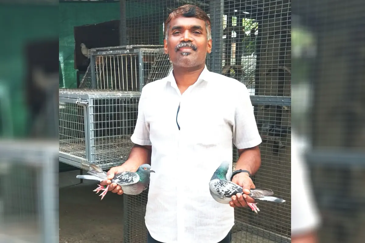 ഷാനവാസ് വിജയികളായ പ്രാവുകളുമായി