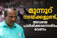 ‘തെരുവിൽ നിന്ന് കൊണ്ടുവന്നതാണ് ഈ നായ്ക്കളെ, അവർക്കും വേണം ഒരു ഷെൽട്ടർ’; സ്ഥലം തേടി ഒരു ഡോക്ടർ