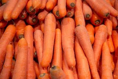Tamil Nadu Assembly Election 2026: Nilgiris carrot farmers face crisis as costs rise, prices crash