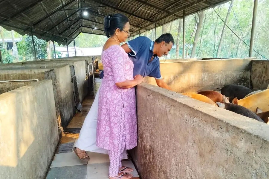 187 പശുക്കൾ, നൂറുകണക്കിന് ആടുകൾ; യന്ത്രവൽകൃത കൃഷി, മൂല്യവർദ്ധിത ഉൽപ്പന്നങ്ങൾ: നിഷയുടെ സമ്മിശ്ര കൃഷി