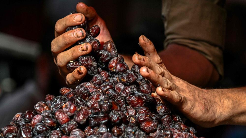 Why is this Date selling at ₹1,100 a kg? A look inside Kannur’s Ramadan fruit rush