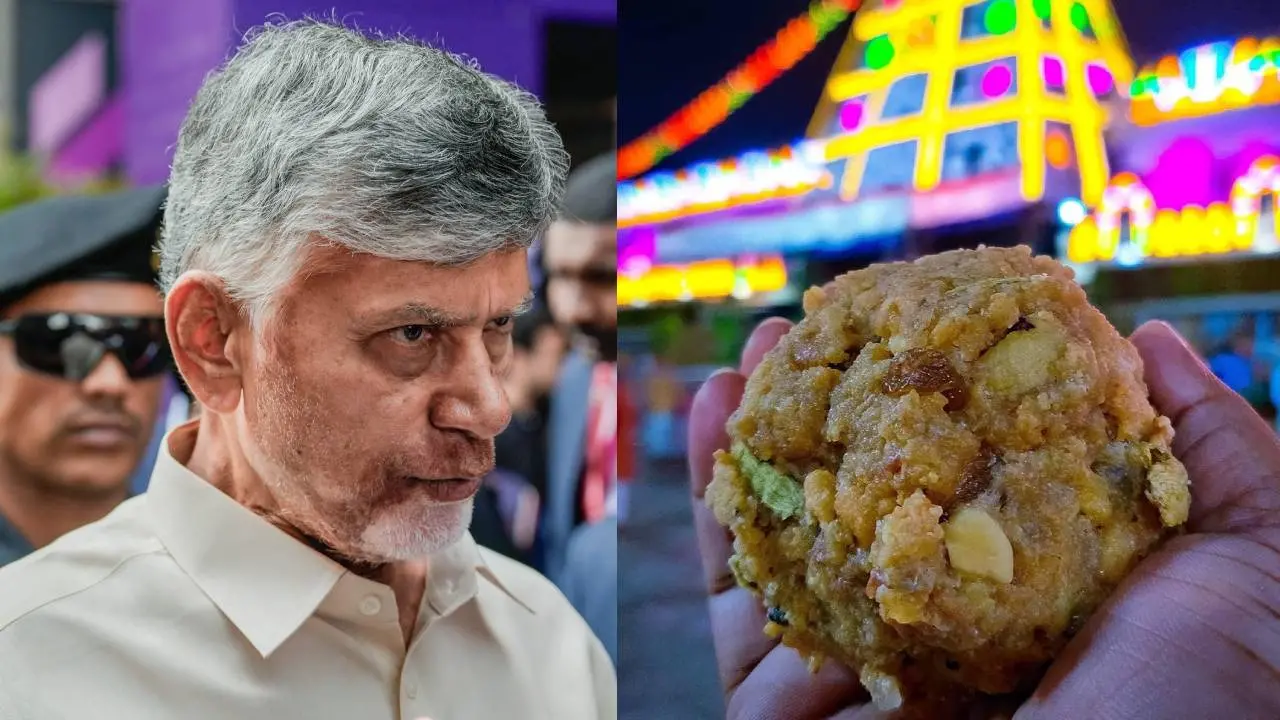 ചന്ദ്രബാബു നായിഡു | Photo : PTI, തിരുപ്പതി ലഡ്ഡു | Photo : X / @_Sanatani007