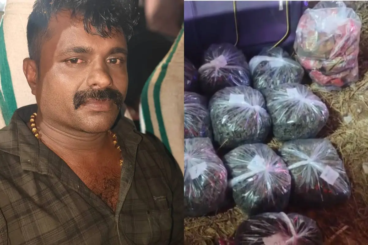 കാർലോസ്, പിടിച്ചെടുത്ത കഞ്ചാവ് പൊതികൾ