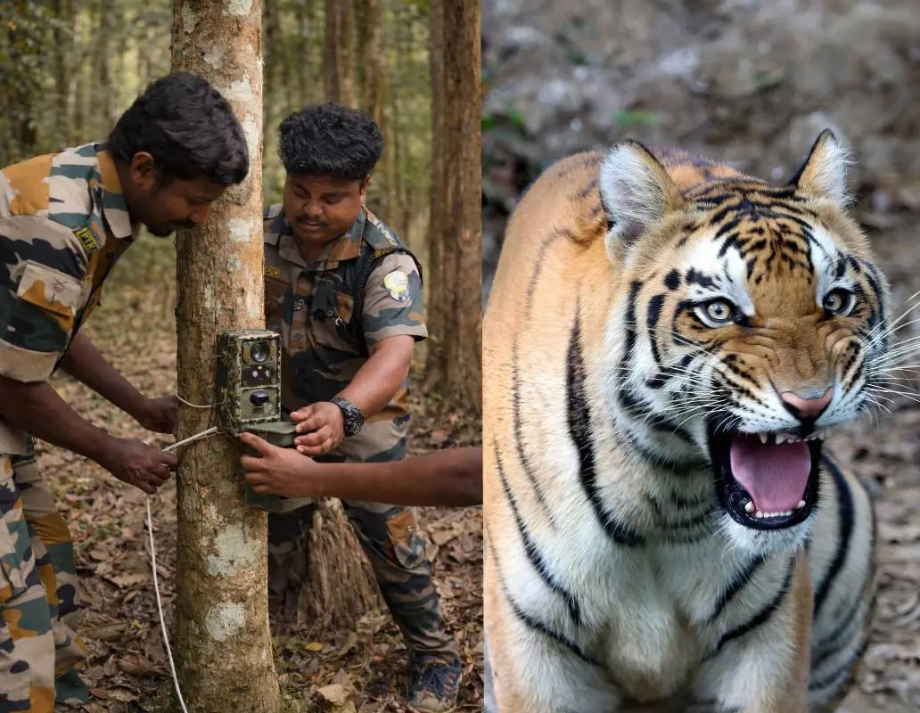 Forest officials installing cameras in Periyar Tiger Reserve; Representational image